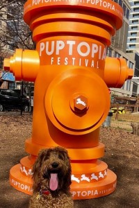 A cute dog poses with the Puptopia Fire Hydrant large product replica