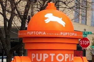 Top view close up of the Puptopia 2020 Fire Hydrant