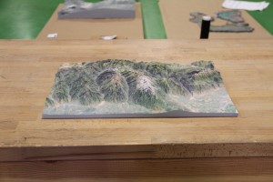 Topographical Model of the Wasatch Mountain Range