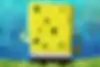 Spongebob Squarepants