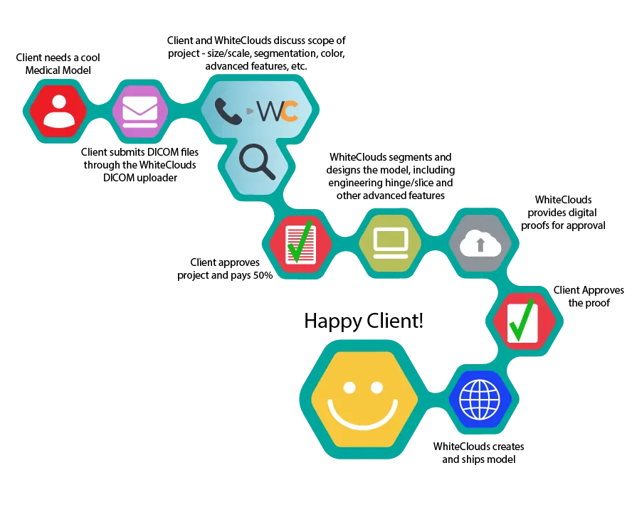 Whiteclouds medical model creation workflow