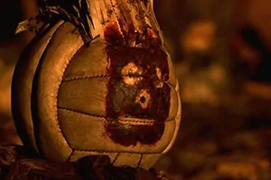 Wilson movie prop