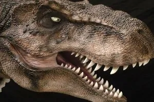 Movie prop of a t-rex head